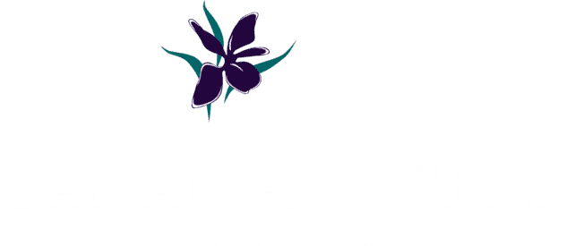 Logo MTA